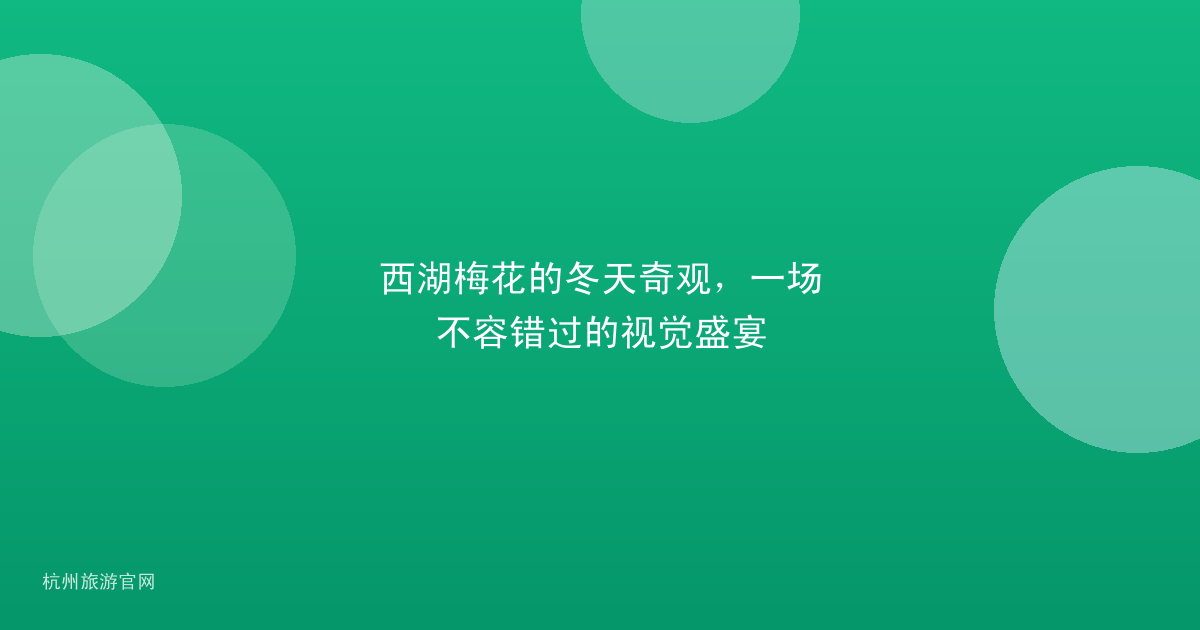 西湖梅花的冬天奇观，一场不容错过的视觉盛宴