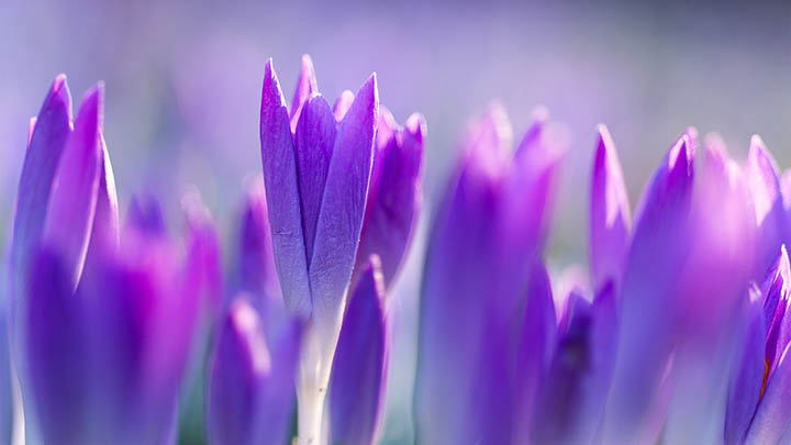 杭州美食甜品探店指南，带你吃遍地道风味